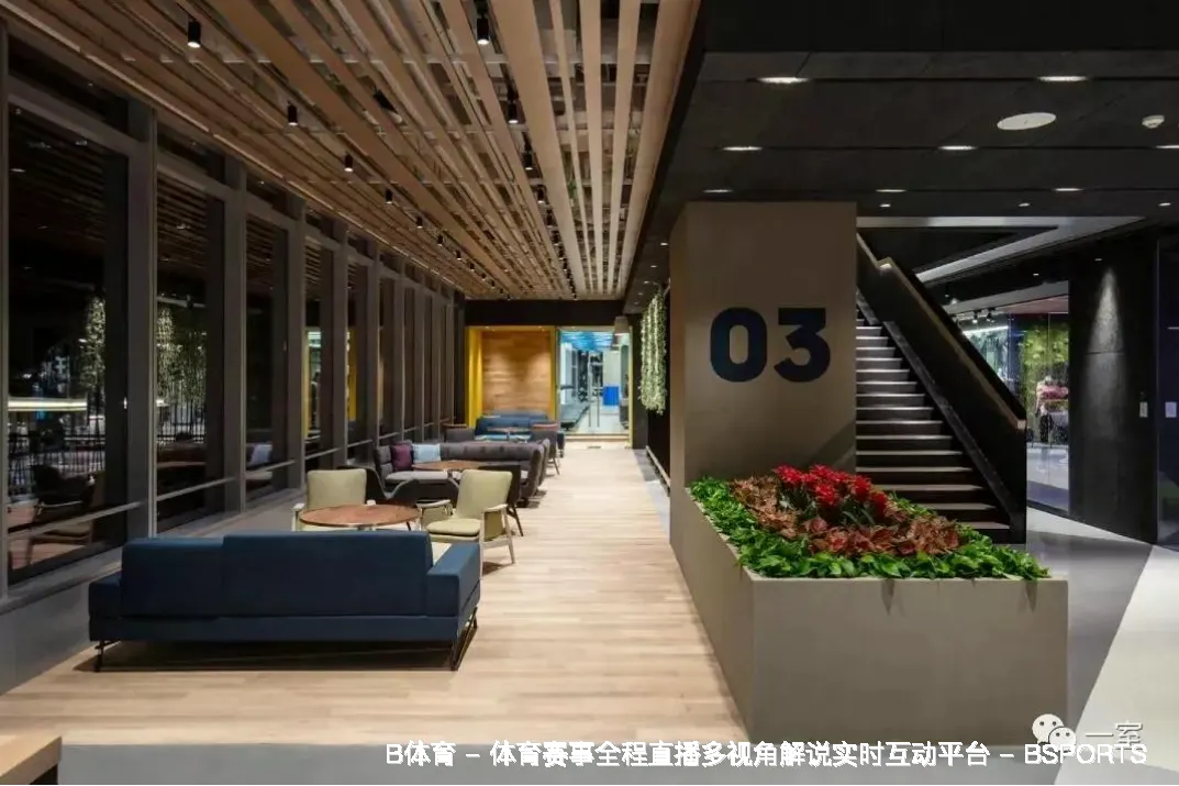 发展历程